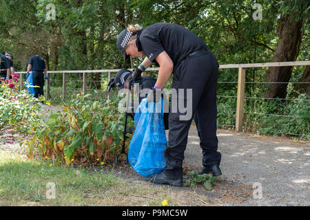 Police search team in Queen Elizabeth gardens Salisbury Stock Photo