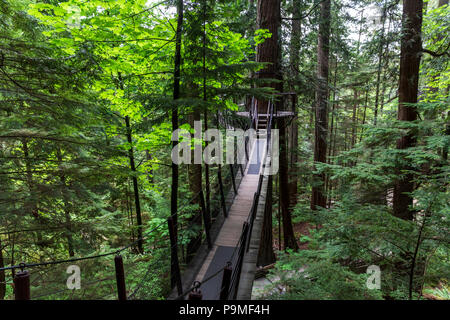 Capilano suspension bridge park, Vancouver, British Columbia, Canada, Saturday, May 26, 2018. Stock Photo