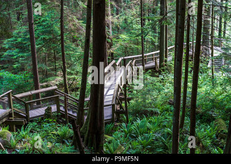 Capilano suspension bridge park, Vancouver, British Columbia, Canada, Saturday, May 26, 2018. Stock Photo
