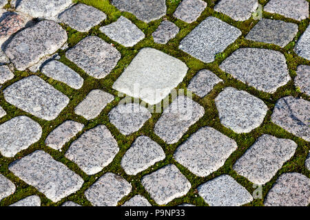 stone road, between the cobblestones on which grows green moss, close-up photo Stock Photo