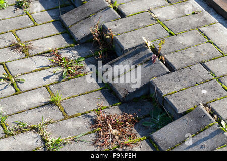 a broken part of the pavement near the river, made of concrete slabs of rectangular shape, close-up Stock Photo