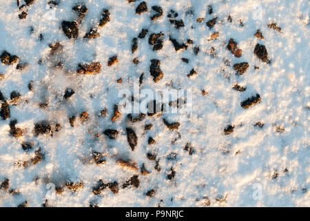 plowed soil covered with white snow in the field, close-up in winter Stock Photo