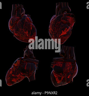 3d rendering illustration of heart Stock Photo