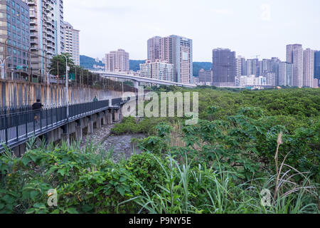 Damshui,Tamsui River Mangrove Conservation Area,Tamsui,port,sea,river,coast,coastline,Taipei,Taiwan,China,Chinese,Republic of China,ROC,Asia,Asian, Stock Photo