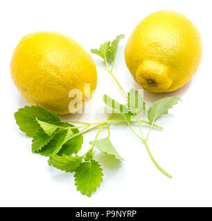 Two whole yellow lemons and fresh green lemon balm leaves isolated on white background Stock Photo