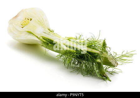 One florence fennel bulb half isolated on white background Stock Photo