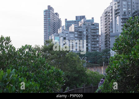 Damshui,Tamsui River Mangrove Conservation Area,Tamsui,port,sea,river,coast,coastline,Taipei,Taiwan,China,Chinese,Republic of China,ROC,Asia,Asian, Stock Photo