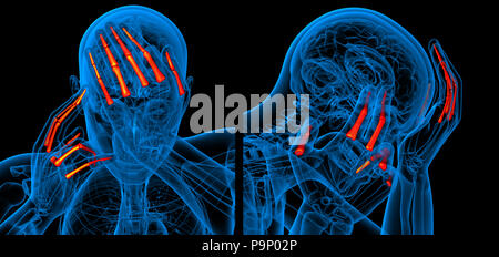 3d rendering medical illustration of the finger bone Stock Photo