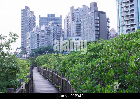 Damshui,Tamsui River Mangrove Conservation Area,Tamsui,port,sea,river,coast,coastline,Taipei,Taiwan,China,Chinese,Republic of China,ROC,Asia,Asian, Stock Photo