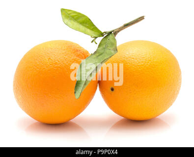 Two oranges with green leaf isolated on white background Stock Photo
