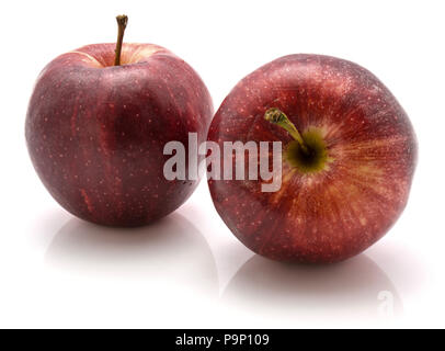 Two Gala apples isolated on white background Stock Photo