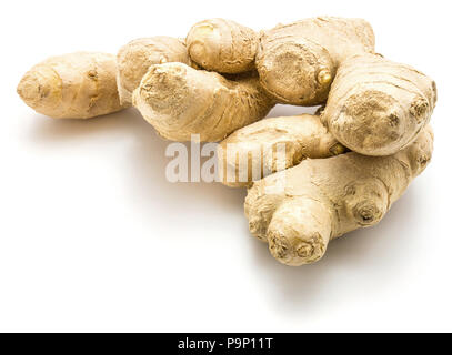 Ginger rhizome isolated on white background two roots Stock Photo