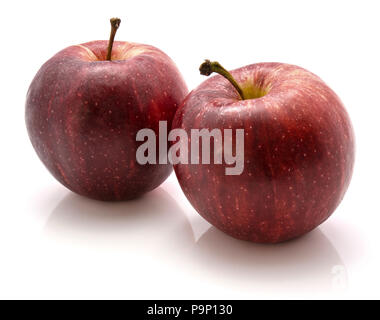 Two Gala apples isolated on white background Stock Photo