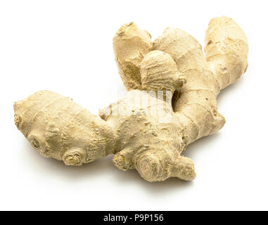 One ginger rhizome isolated on white background Stock Photo