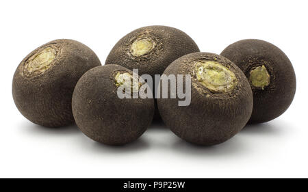 Black radish five fresh bulb roots set isolated on white background Stock Photo