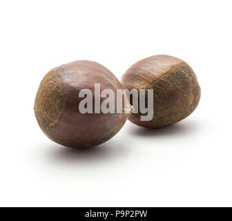 European chestnuts two Spanish edible isolated on white background raw fresh brown nuts Stock Photo