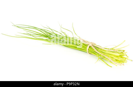Fresh chives bunch tied by rope isolated on white background Stock Photo