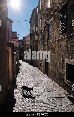 Black cat crossing the street in a historic setting Stock Photo - Alamy
