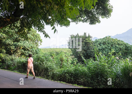 Damshui,Tamsui River Mangrove Conservation Area,Tamsui,port,sea,river,coast,coastline,Taipei,Taiwan,China,Chinese,Republic of China,ROC,Asia,Asian, Stock Photo