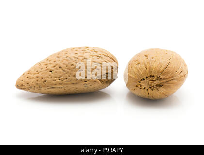 Unshelled almonds isolated on white background two brown whole Stock Photo