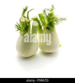 Florence fennel isolated on white background two bulbs Stock Photo