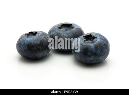 Three bog blueberries isolated on white background fresh Stock Photo