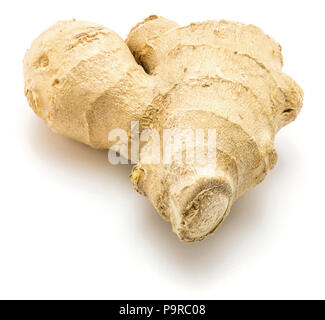 One ginger rhizome isolated on white background Stock Photo
