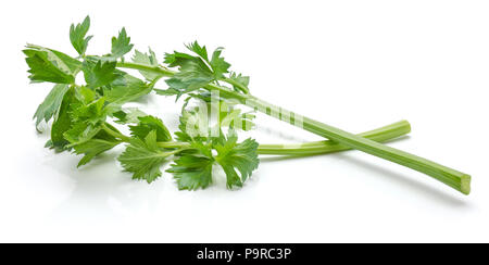 Two sticks of fresh celery with leaves isolated on white background Stock Photo