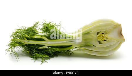 Florence fennel isolated on white background one half Stock Photo