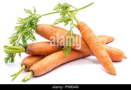 Group of five whole orange carrots with fresh green leaf isolated on white background Stock Photo