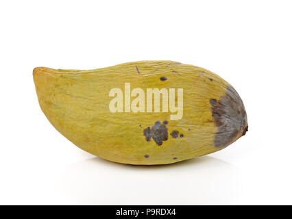 rotten mangoes isolated on white background Stock Photo
