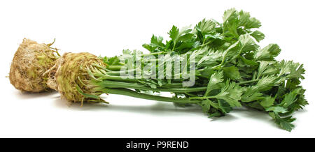 Fresh celery root with leaves isolated on white background two bulbs Stock Photo