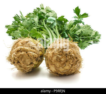 Fresh celery root with leaves isolated on white background two bulbs close-up Stock Photo