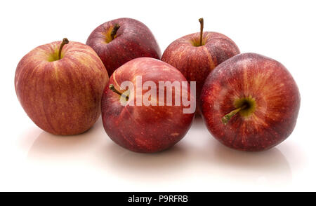 Group of five whole Gala apples isolated on white background Stock Photo