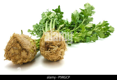 Fresh celery root with leaves isolated on white background two bulbs Stock Photo