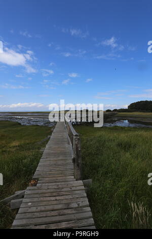 Wooden walkway across Peffer Burn at Aberlady Bay Nature Reserve East Lothian Scotland  July 2018 Stock Photo