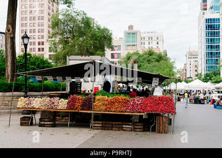 New York City, USA - June 20, 2018: Fresh vegetables market stall in Union Square Greenmarket Stock Photo