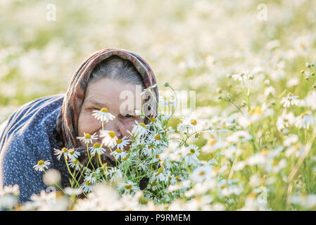 Grandmother, field, chamomile and the concept of outdoor recreation - an old lady in a field with daisies. Summer portrait. Stock Photo