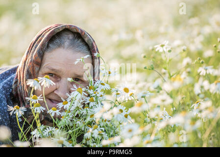 Grandmother, field, chamomile and the concept of outdoor recreation - an old lady in a field with daisies. Summer portrait. Stock Photo