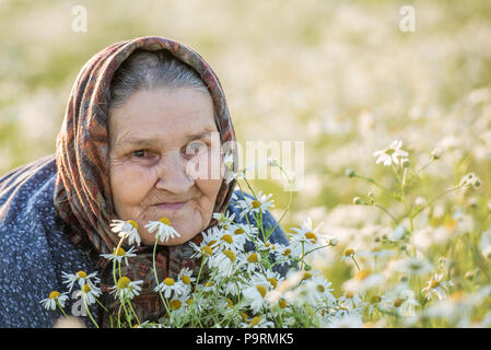 Grandmother, field, chamomile and the concept of outdoor recreation - an old lady in a field with daisies. Summer portrait. Stock Photo