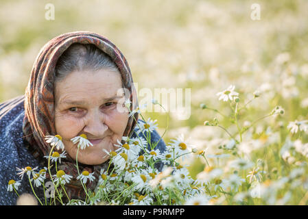 Grandmother, field, chamomile and the concept of outdoor recreation - an old lady in a field with daisies. Summer portrait. Stock Photo