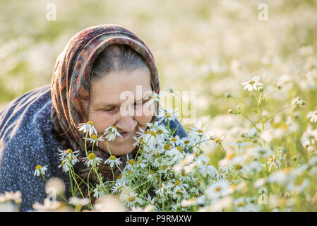 Grandmother, field, chamomile and the concept of outdoor recreation - an old lady in a field with daisies. Summer portrait. Stock Photo