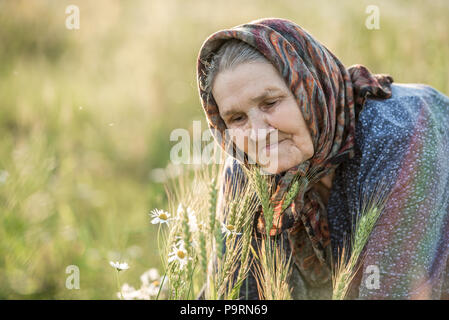 Grandmother, field, chamomile and the concept of outdoor recreation - an old lady in a field with daisies. Summer portrait. Stock Photo