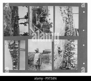 274 Canadian Official War Photographs (BL l.r.233.b.57.v3 f036r) Stock Photo