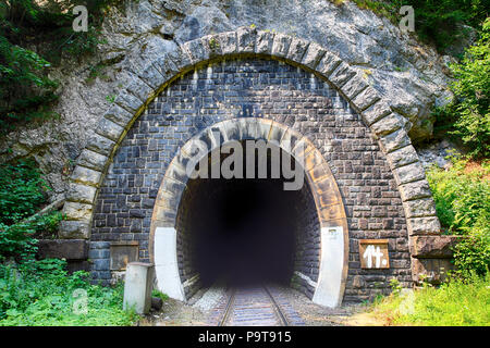 Train tunnel with railway - old Stock Photo