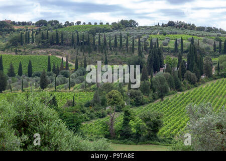 The Tuscan countryside in the vicinity of the abbey of Sant'Antimo (Montalcino - Tuscany - Italy). La campagne Toscane dans les environs de l'abbaye d Stock Photo