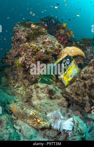 Underwater photo of plastic trash pollution on the seabed on a coral ...