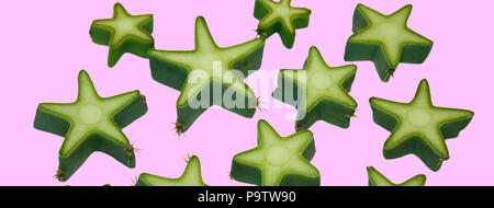 Cactus Fashion Design.  Trendy Bright Colors. Green Neon Mood on Pink background Stock Photo