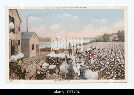 352 Cotton Picking, Milwaukee Public Museum Miniature Group (NYPL b12647398-79587) Stock Photo