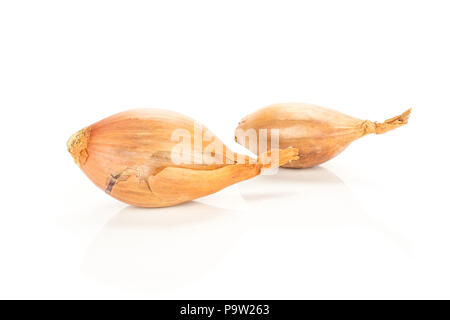 Two unpeeled shallots isolated on white background Stock Photo